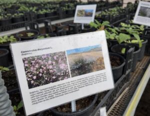 Şanlıurfa 'da Kuraklığa Meydan Okuyan Proje!