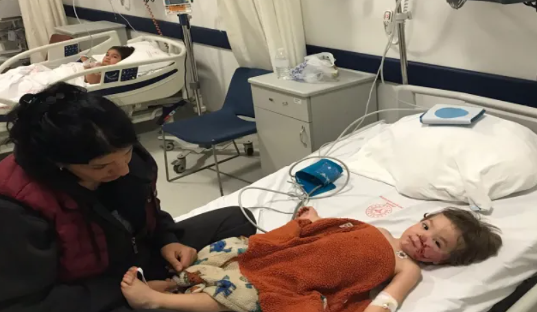 Ankara'da Pitbull Saldırısı: İki Kardeş Yaralandı