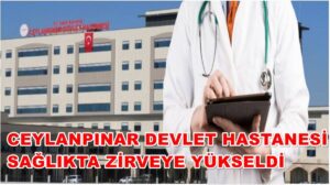 Ceylanpınar Devlet Hastanesi Sağlıkta Zirveye Yükseldi