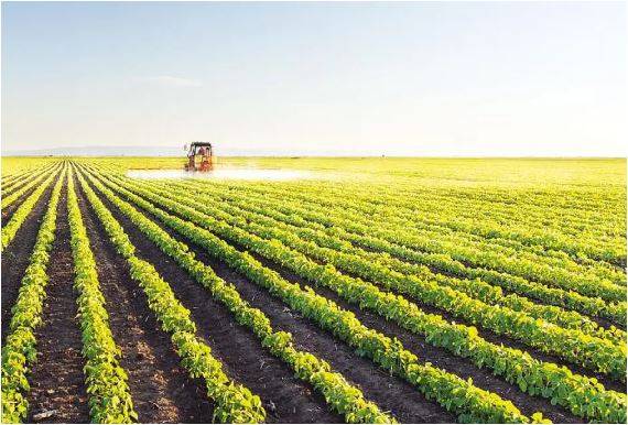 Çiftçilere Uyarı: ÇKS Başvurularında Son Günler