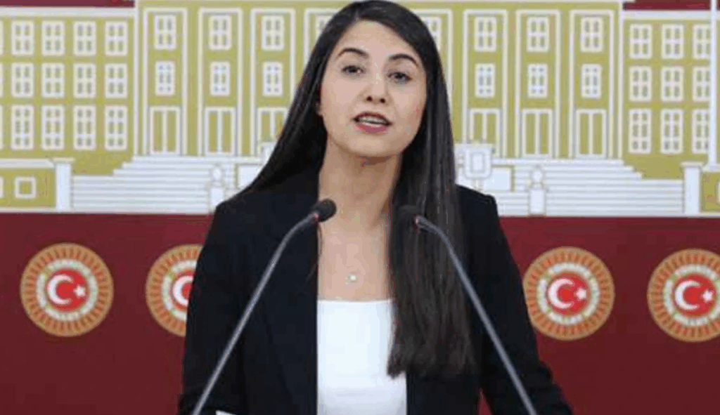 Dilan Kunt Ayan’dan TBMM’ye Sınır Kapıları Araştırması Talebi