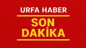 Köprü İnşaatı Çöktü! 4 Yaralı, 2 Kişi Enkaz Altında