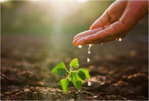 Şanlıurfa ve Bölge Tarımı Kritik Eşiğe Geldi!