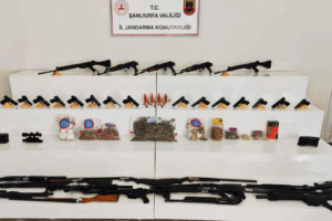 Şanlıurfa'da Mısır Tarlasında Çıkanlar Görenleri Şaşkına...