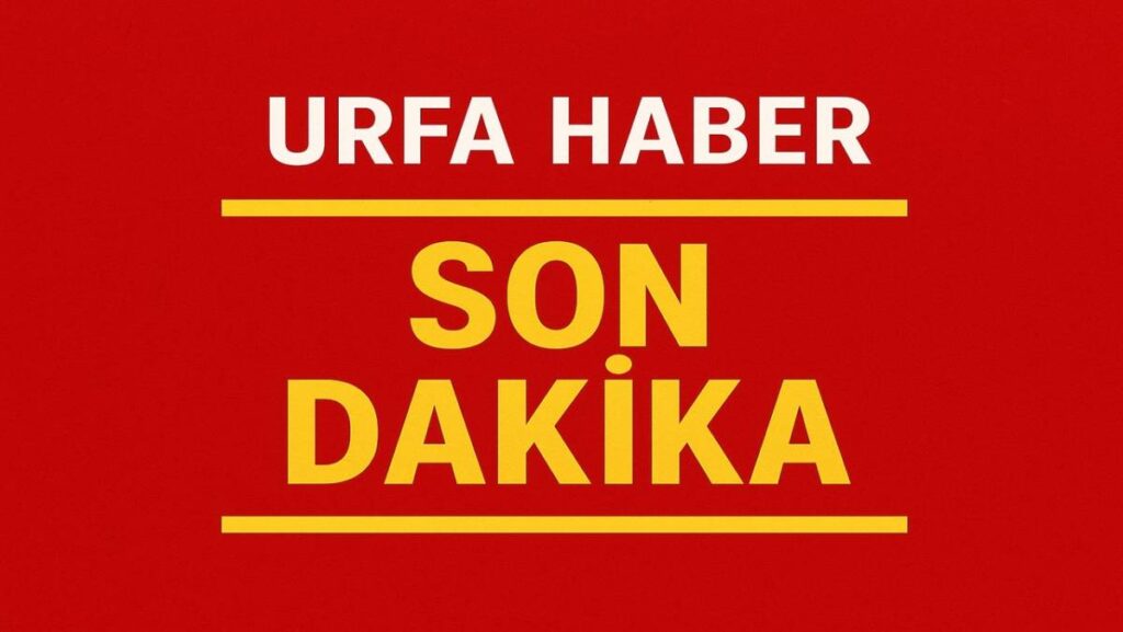 Türkiye'nin Askeri Kargo Uçağı Gürcistan'da Düştü!