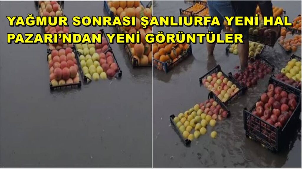 Yağmur Sonrası Şanlıurfa Yeni Hal Pazarı’ndan Yeni Görüntüler