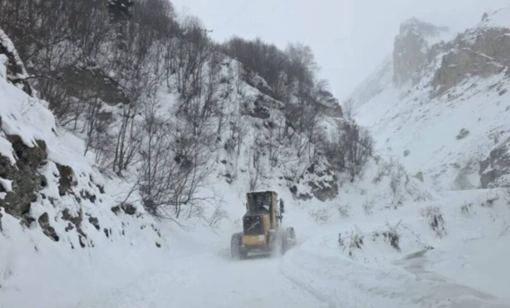 Artvin’de Korkutan Haber: Çığ 3 Çobanı Yuttu