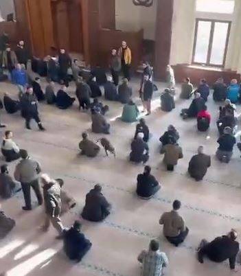 Camiye Pitbull Girdi: Yürekler Ağza Geldi!