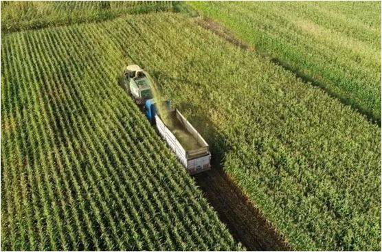 Şanlıurfa Milletvekili Ayan’dan Kuraklık Alarmı Mecliste