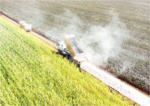 Şanlıurfa Tarımda Atak Yaptı: Kırsal Güçleniyor