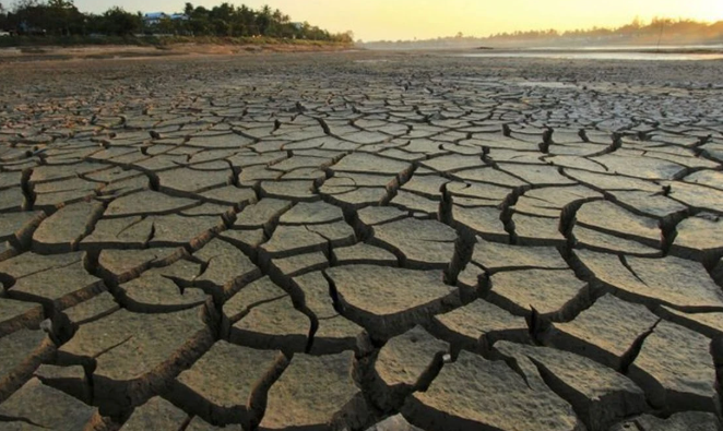Üretici Alarm Verdi: Güneydoğu’da Tarım Tehlike Altında
