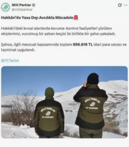 Yaban Keçisi Vurdu: Çok Pahalıya Mal Oldu!