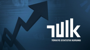 2025'in En Çok Kazandıran Yatırım Aracı Belli Oldu