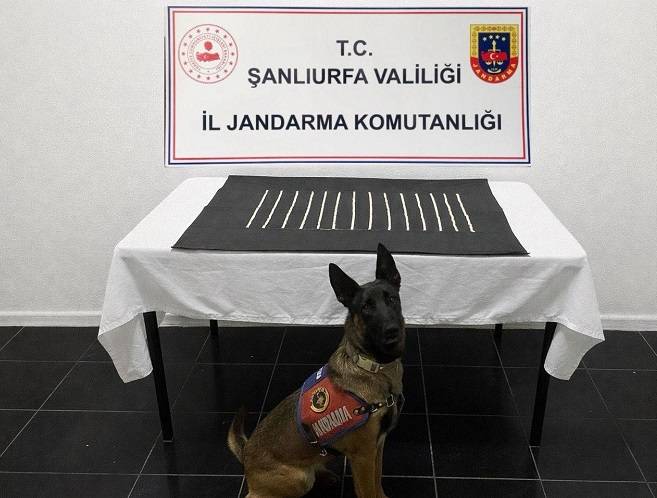 Jandarmadan zehir tacirlerine operasyon!