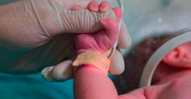 Kan Donduran İddia: İstanbul’da 2 Aylık Bebek Açlıktan Öldü Mü?