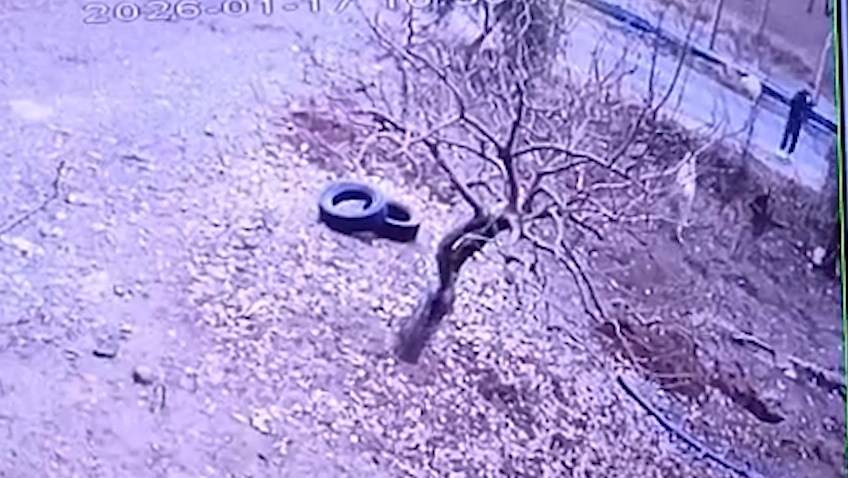 Şanlıurfa Birecik’te Köpeği Tüfekle Vurdu