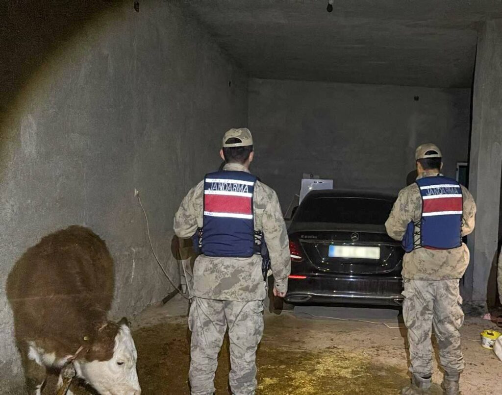 Şanlıurfa'da hırsızlık olayı! Ahırda sakladı!