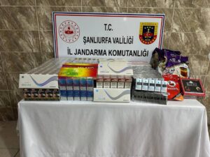 Şanlıurfa'da operasyon: Onlarca şahıs gözaltına alındı