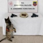 Eyyübiye’de narkotik operasyonu!