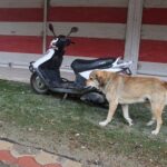 Hatay’da 4 mahalle karantinaya alındı!