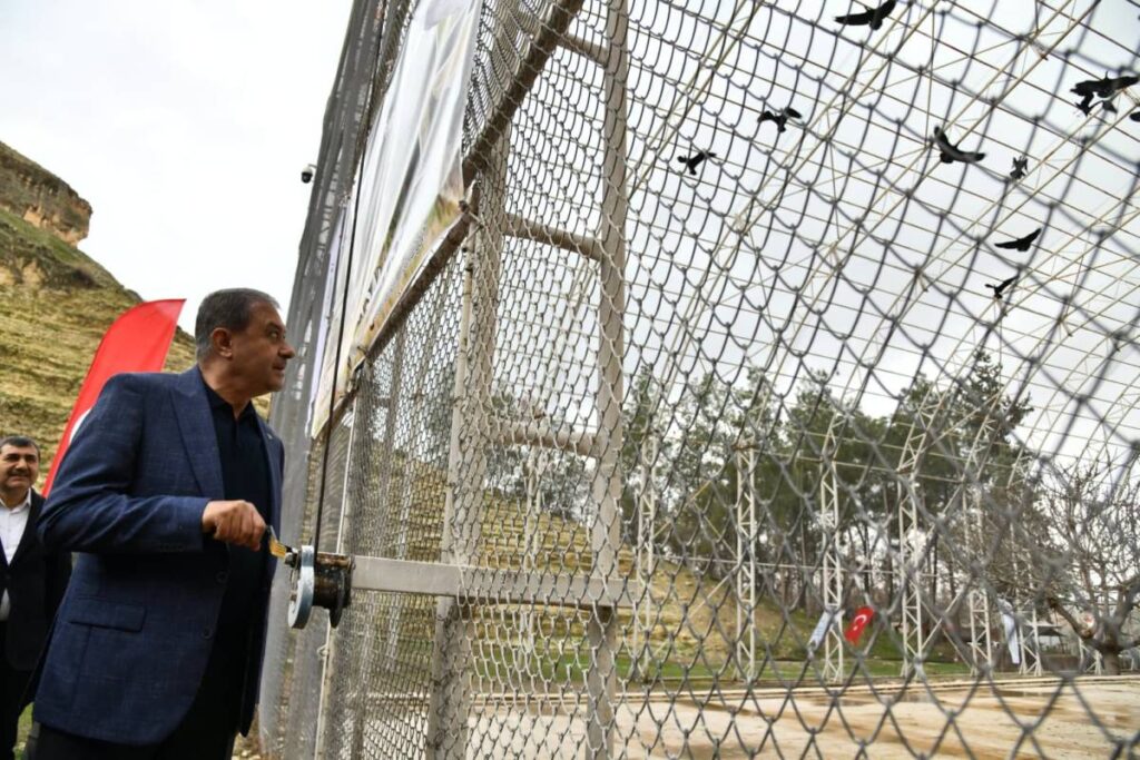 Şanlıurfa'da 277 kelaynak doğaya salındı!