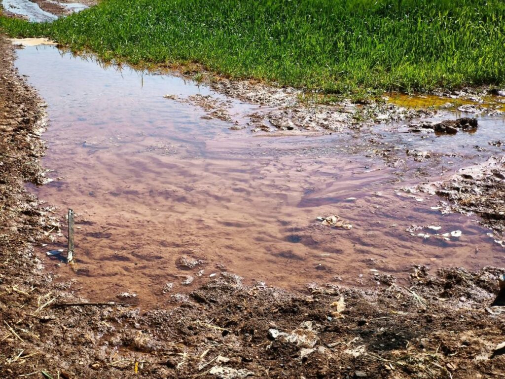 Şanlıurfa'da elektriğin yarısının kaçak kullanıldığı iddiası