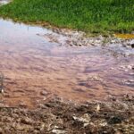 Şanlıurfa’da elektriğin yarısının kaçak kullanıldığı iddiası