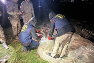 Şanlıurfa'da kilolarca uyuşturucu ele geçirildi!