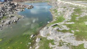 Şanlıurfa’da yağışlar çiftçiye umut oldu!