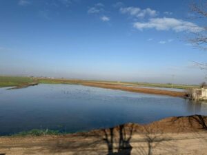 Suruç’ta tarım arazileri su göletine döndü!