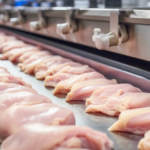 Tavuk ihracatı durduruldu!