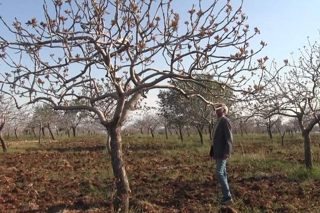 Urfa'da yoğun kar yağışları çiftçinin yüzünü güldürdü!