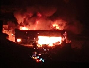 Urfa'nın Halfeti ilçesinde korkutan yangın!