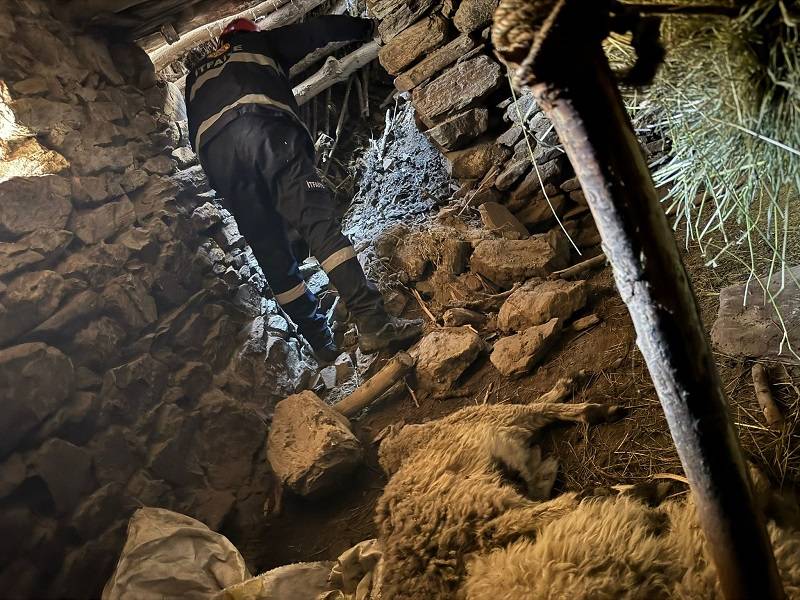 Ahır çöktü: Onlarca kuzu göçük altında kaldı!