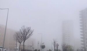 Dikkat! Urfa'da yağış sonrası yoğun sis!