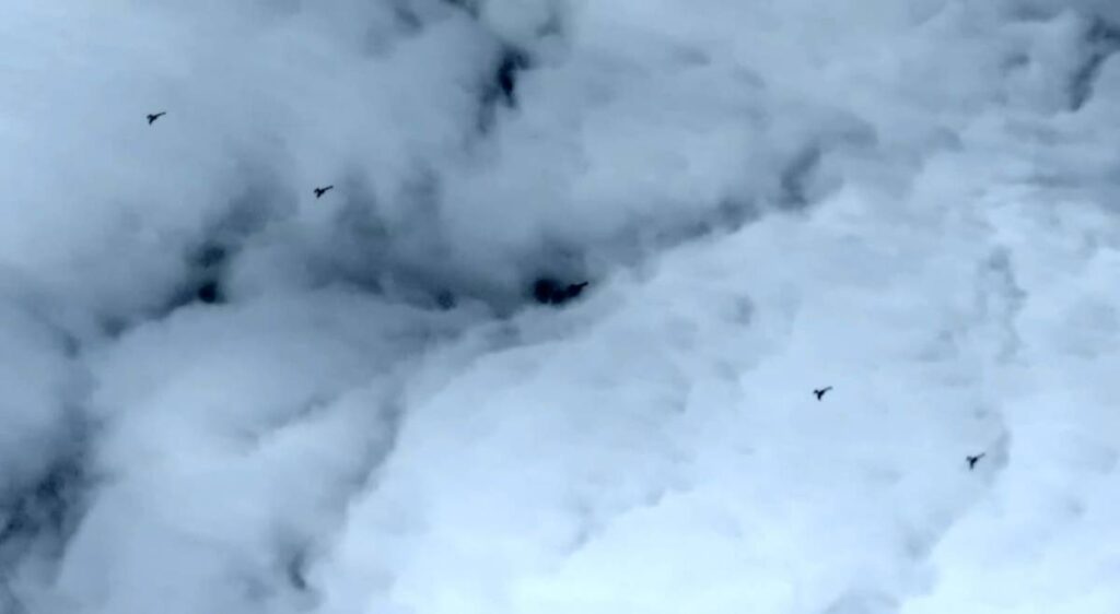 K2 Kamikaze İHA sahaya çıktı!