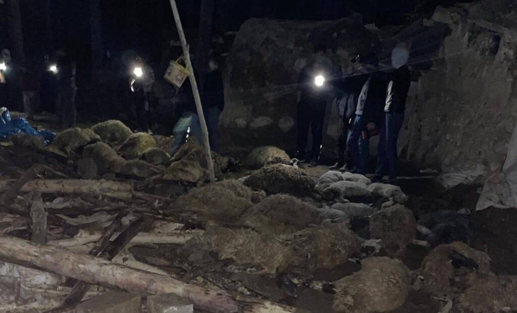 Van'da ahır çöktü: Onlarca küçükbaş hayvan telef oldu!