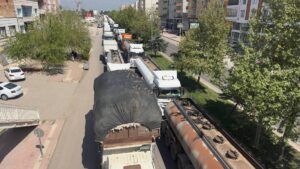 Şanlıurfa'da kumruların görsel şöleni başladı!